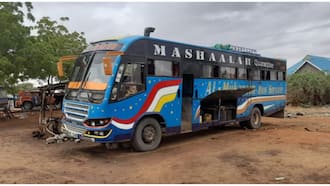 Mandera: Suspected Al Shabaab Militants Hijack Bus, Torment Passengers for 2 Hours