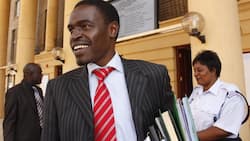 Wakili Nelson Havi asisimua mtandao baada ya kuombea kileo