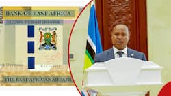 SHEAFRA: What You Should Know About East African Community Common Currency