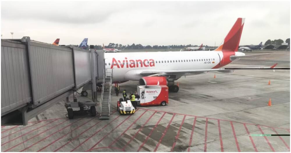 The stowaways were discovered in the undercarriage of an Avianca Airlines aircraft.