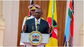 President William Ruto Unveils His Cabinet, Appoints Musalia Mudavadi, Kithure Kindiki and Others