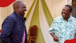 Musalia Mudavadi: William Ruto Anakula na Kila Mtu Wakiwemo Wale wa Upinzani