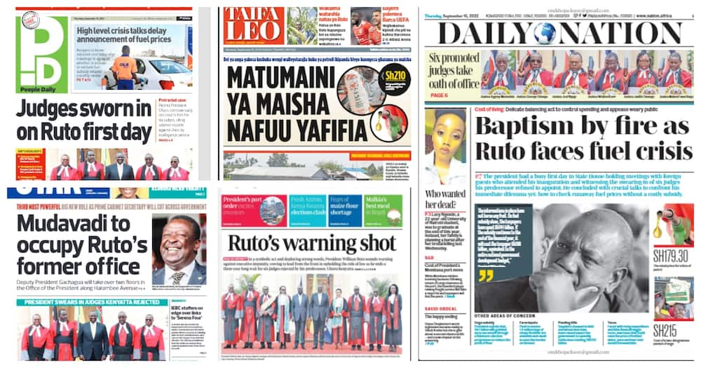 Kenyan newspapers. Photo: Screengrabs from The Standard, Daily Nation, The Star, People Daily and Taifa Leo.