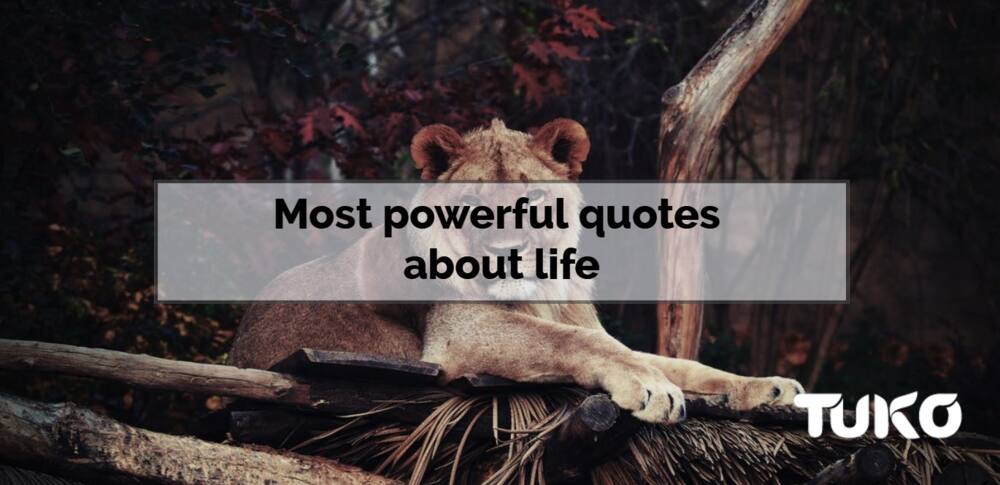 Most powerful quotes about life