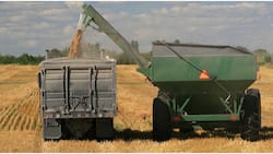 Grain Exports Impasse: Relief as Russia-Ukraine Agree to End Blockade
