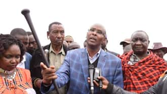 Narok ODM Governor Candidate Asks Voters to Elect William Ruto as President: "Sitafuti Kuwa Rais"