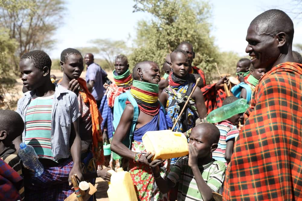 Baringo residents helplessly stare at death as drought bites on