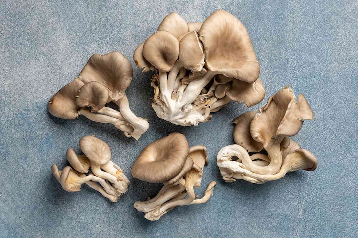 Types of mushrooms that are edible in Kenya (with pictures) - Tuko.co.ke