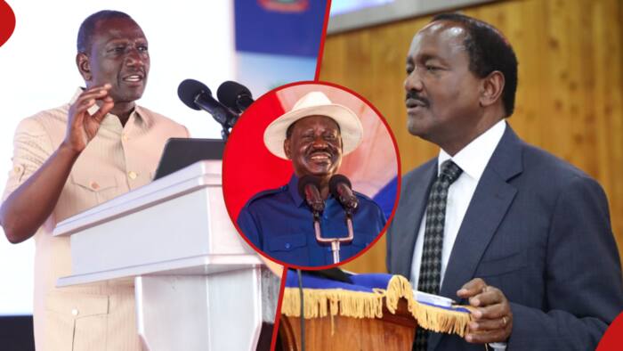 William Ruto na Kalonzo Musyoka: Orodha ya Watakaocheka na Watakaolia Raila Akiteuliwa Mwenyekiti AU
