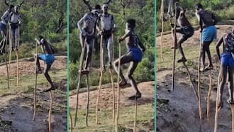 Video of Young African Boys Walking With Long Sticks Goes Viral as Netizens React