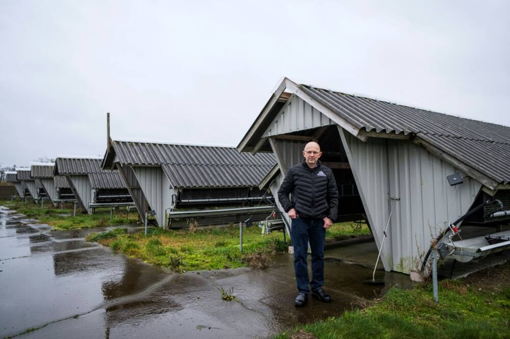 Poul Erik Vestergaard started breeding minks after buying his father's farm in 1986