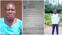 Kakamega Single Mother Appeals for Help to Educate Daughter who Scored 412 Marks: "Sina Chochote"
