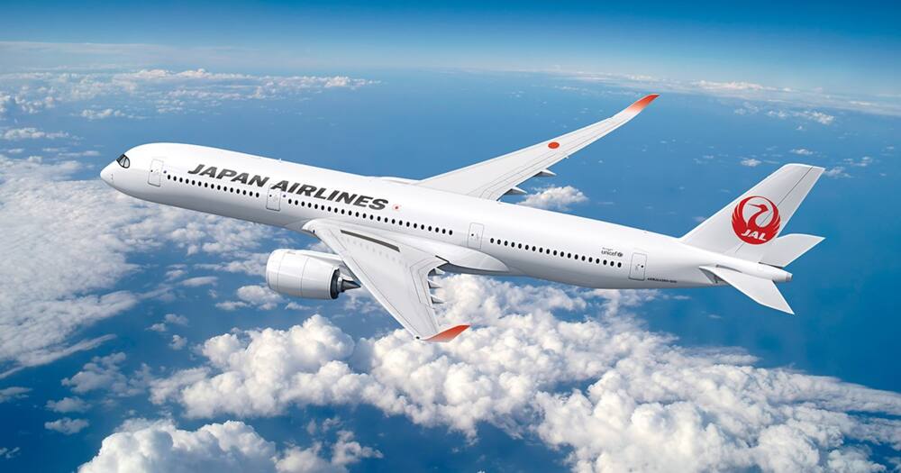 Japan Airlines offers 50,000 free tickets to international tourists