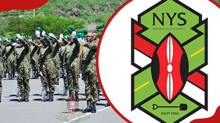 Can you join NYS with a D-? Here is everything you should know