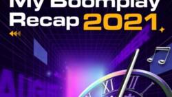 What Have You Listened to All Year? Find Out Your 2021 in Music on Boomplay Now!