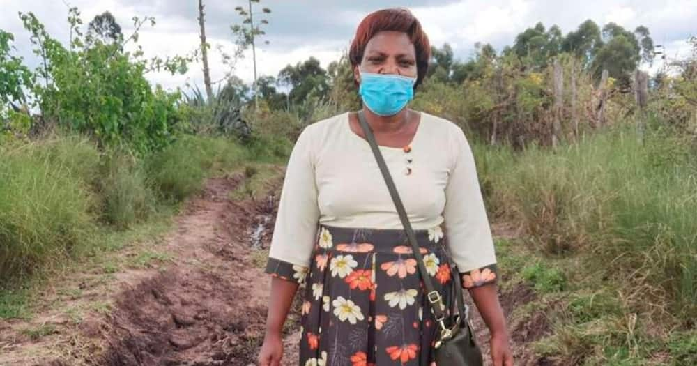 Education Officials Refute Claims Narok Principal Treks for 20km Daily, Summon Her