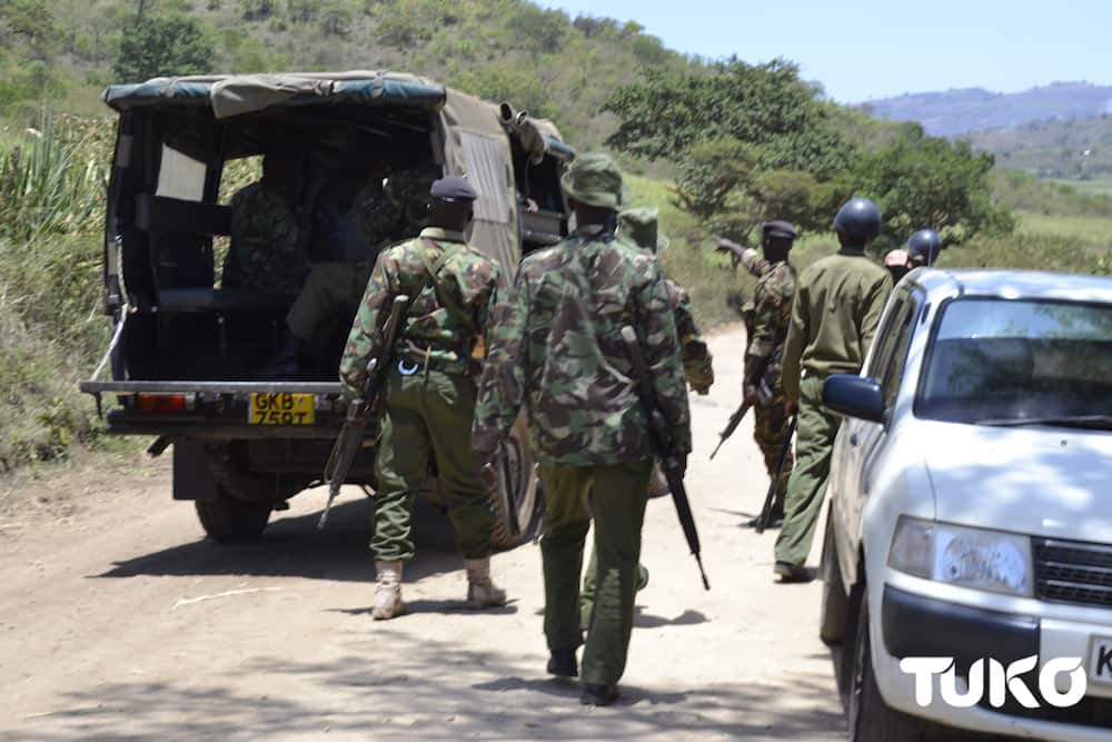 Nandi: 12 arrested as squatters protest plans to set up power plant on Omamo land