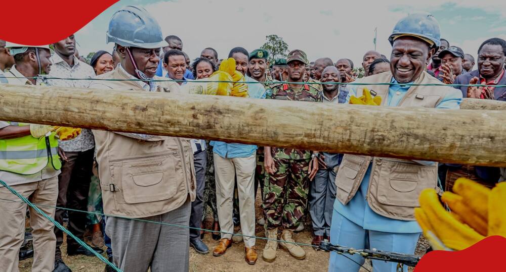 William Ruto Asema Familia za Waliouawa na Tembo Kupata KSh 5 Milioni: “Tumebadilisha Sheria”