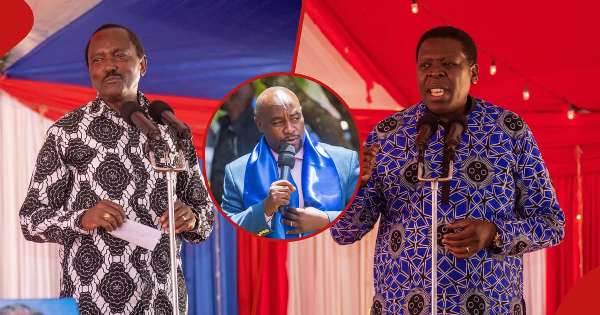 Kitui Senator Asks Raila Odinga To Endorse Kalonzo-Wamalwa For 2027 ...