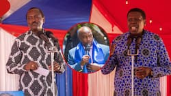 Kitui Senator Asks Raila Odinga to Endorse Kalonzo-Wamalwa for 2027: "Better Ticket"