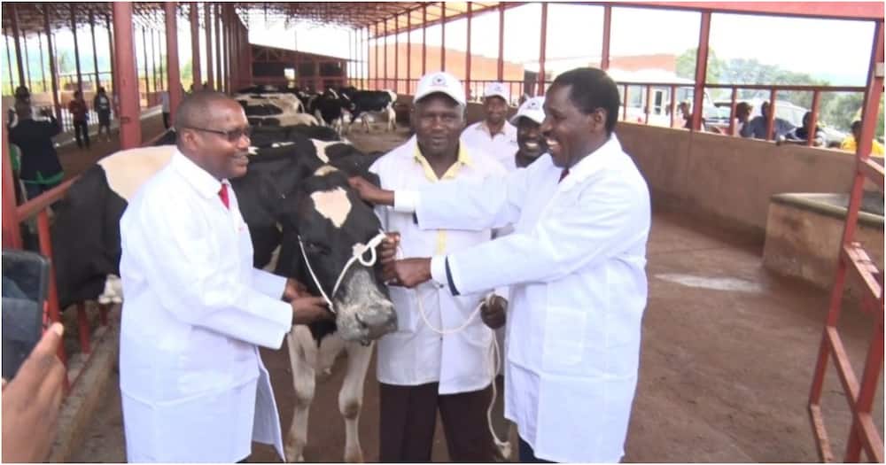 Uhuru Kenyatta Gifts Burundian President Everiste Ndayishimiye 50 Dairy Cows