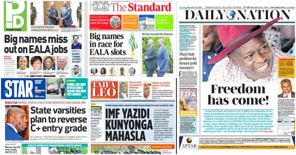 Kenyan newspapers. Photo: Screengrabs from The Standard, Daily Nation, The Star, People Daily and Taifa Leo.