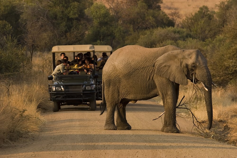 tour consultants kenya