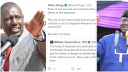 Raila Odinga Fires Shots at William Ruto in Bare-Knuckle Twitter Spat: "Jungle Laws"