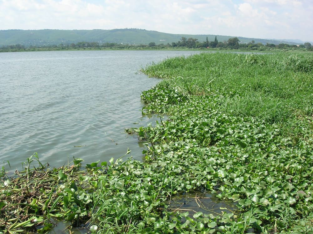 3 Kenyan fishermen go missing after crossing to Tanzanian side