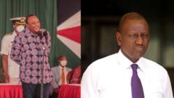 President Uhuru Kenyatta's Deconstruction of William Ruto's Lies Will Leave DP with Nowhere to Hide