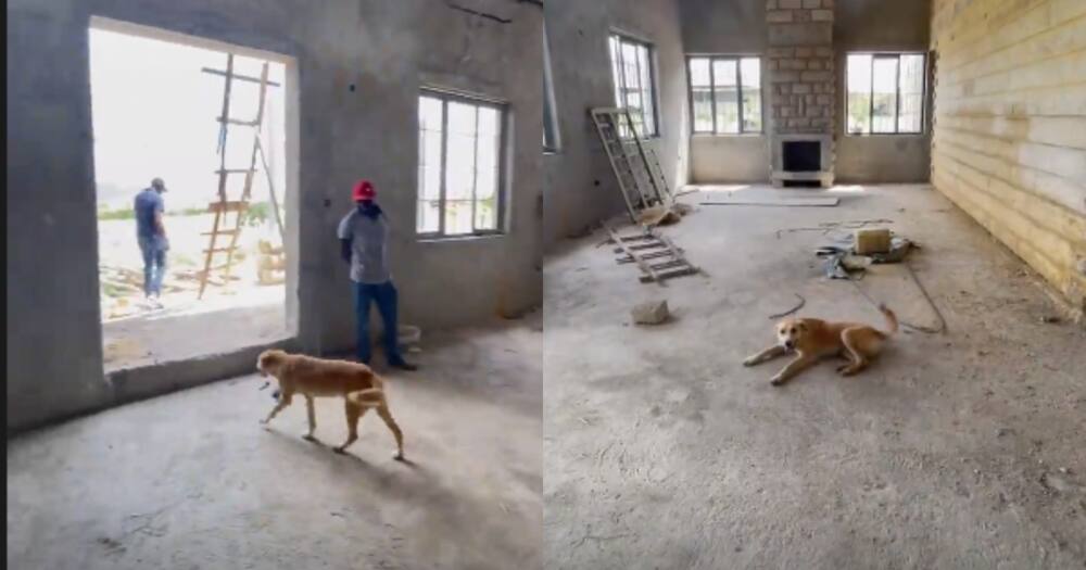 Boniface Mwangi Shows Progress of His House Months after Claiming ...