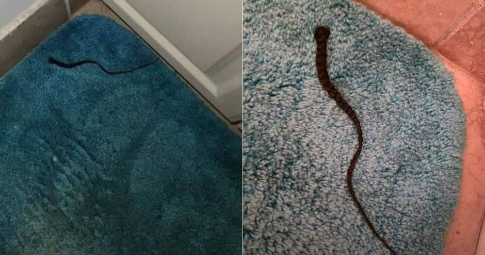 The man was scared awake by wife’s braid, snake, social media. Photo: @Mona Bushiru.