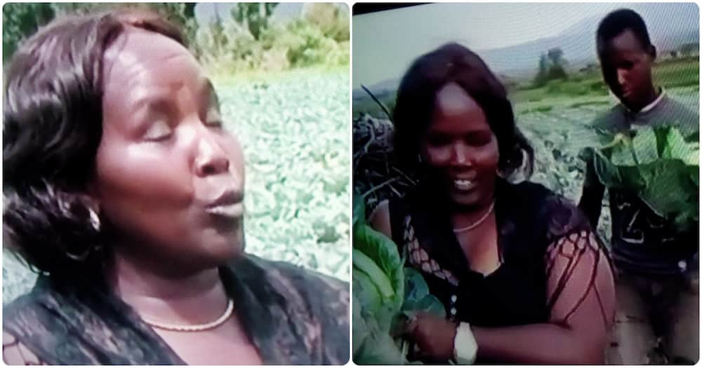 Judy Njenga sells 8,000 cabbages daily.