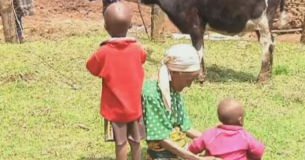 Elizabeth Waithera adopted Lucy Njeri when she was eight years after she lost her parents. Photo: NTV.