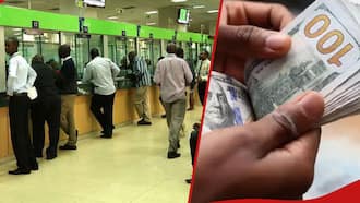 US Dollar Hits KSh 135: Kenya Shilling 'Free Fall' Continues for Second Week