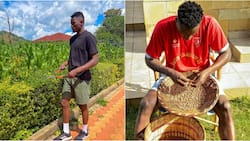 Michael Olunga Picks Beans at Village Mansion During Break from Al Duhail Duties: "Kuchambua Rose Coco"