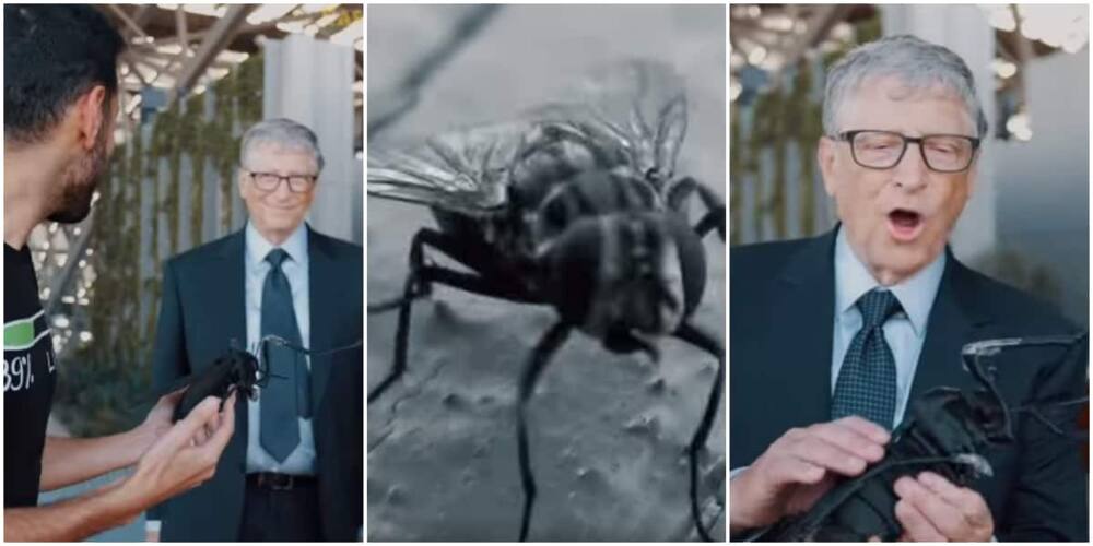 Reactions as man gifts billionaire Bill Gates a dead fly as gift in stunning video