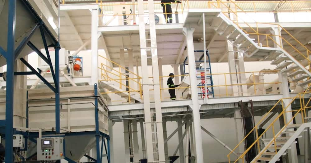 Kivutha Kibwana Showcases KSh 210m Makindu Grain Processing Plant: "It's 99% Done"