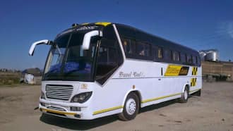 All Nairobi matatu routes and stages Tuko.co.ke