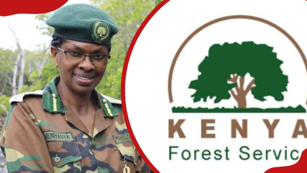 Kenya Forest Service salary scale