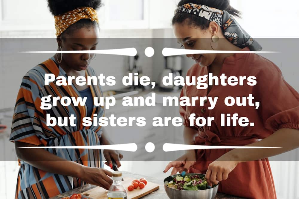 110+ funny sister captions for Instagram that are so hilarious 110+ funny sister captions for Instagram that are so hilarious
