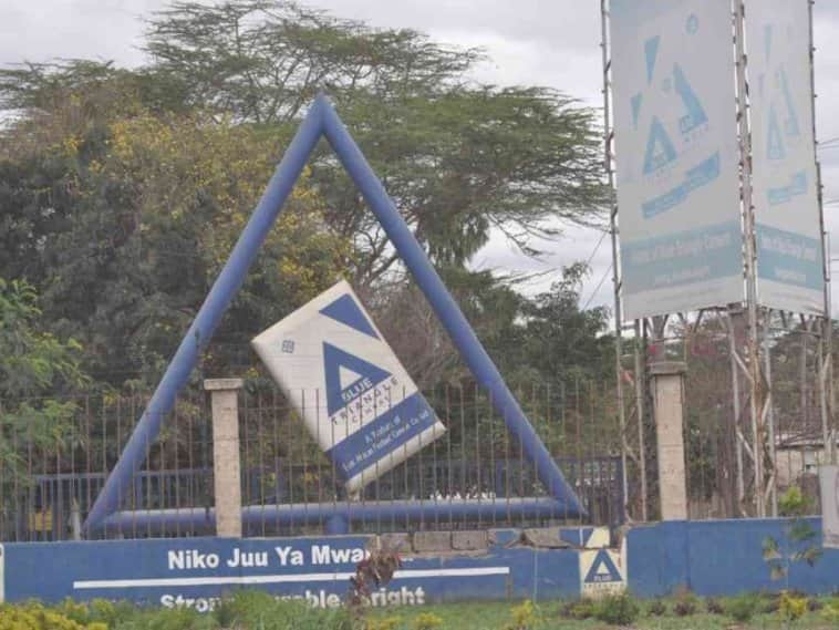 East African Portland Cement to lay off all employees over losses