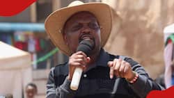 CS Kuria Renews Mt Kenya Kingpin Debate amid Calls for Uhuru’s Successor: “Fake Kingpins Take Over”