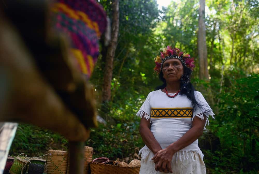 Guarani chief Maria Helena Jaxuka says she is eager to move her people to their new home, Brazil's first municipal nature reserve.