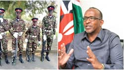 Aden Duale Explains Why KDF Overlooks Short People During Recruitment: "Jeshi Kuna Parade"