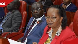 Nairobi MCAs Question KRA Commissioner About Agency's Role In City Revenue Collection