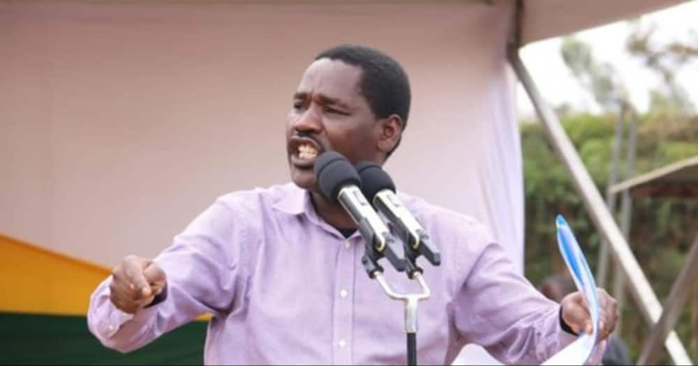 CS Munya says Mt Kenya don't feel safe in hands of people with a history of looting, grabbing land.