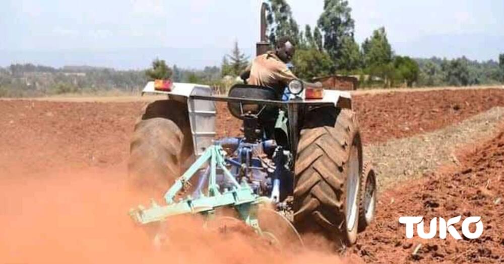 Tough Times for Farmers as Fertiliser, Ploughing Prices Skyrocket.