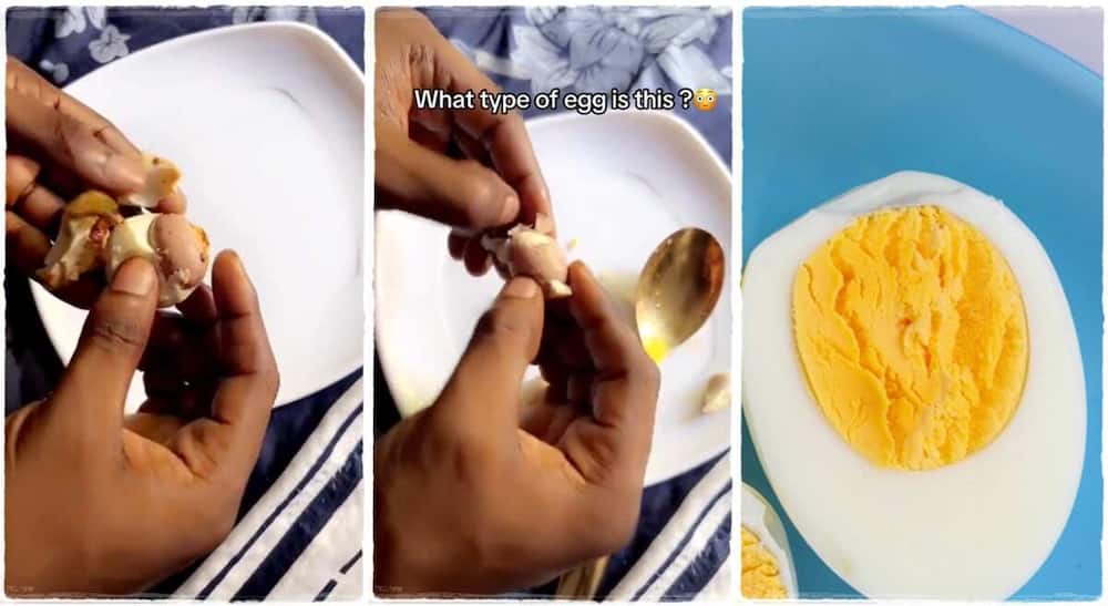 Man discovers a second egg inside a boiled egg.