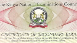 Nicholas Ng'eno: Kind Matatu Driver Looking for Owner KCSE Certificate Left in His Vehicle